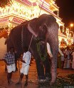 thrissur-pooram-2010 (33)